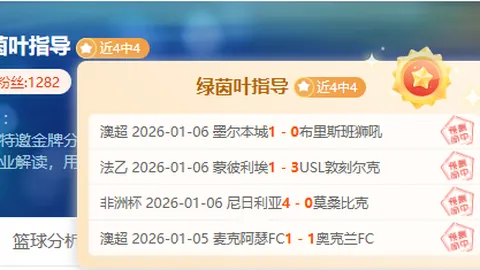 破雾翱翔，喷气机再创佳绩！多路出击，稳抓不放，成就非凡高度！